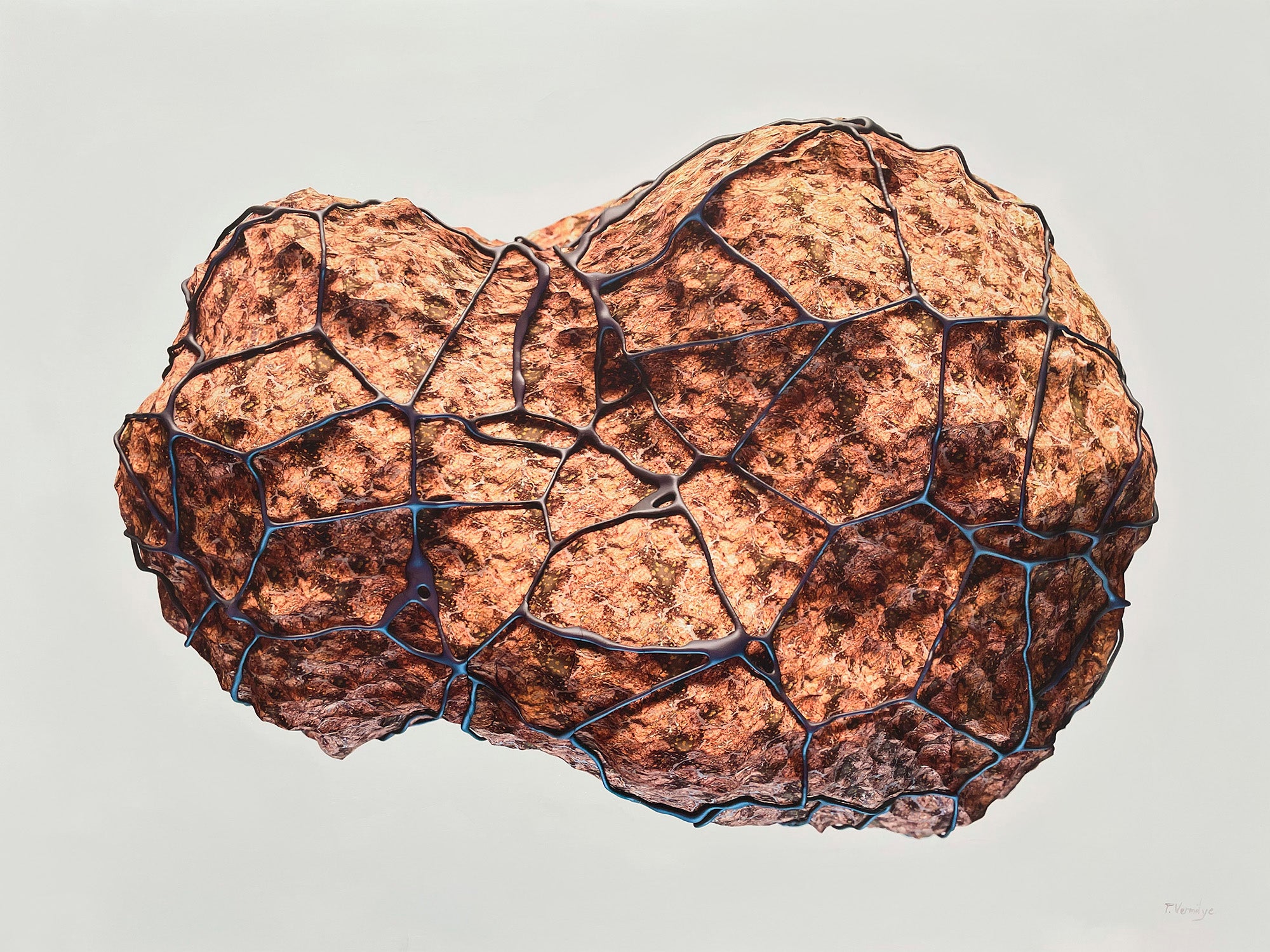 Network 001 [Lichen) - 48 x 36 x 2 inches