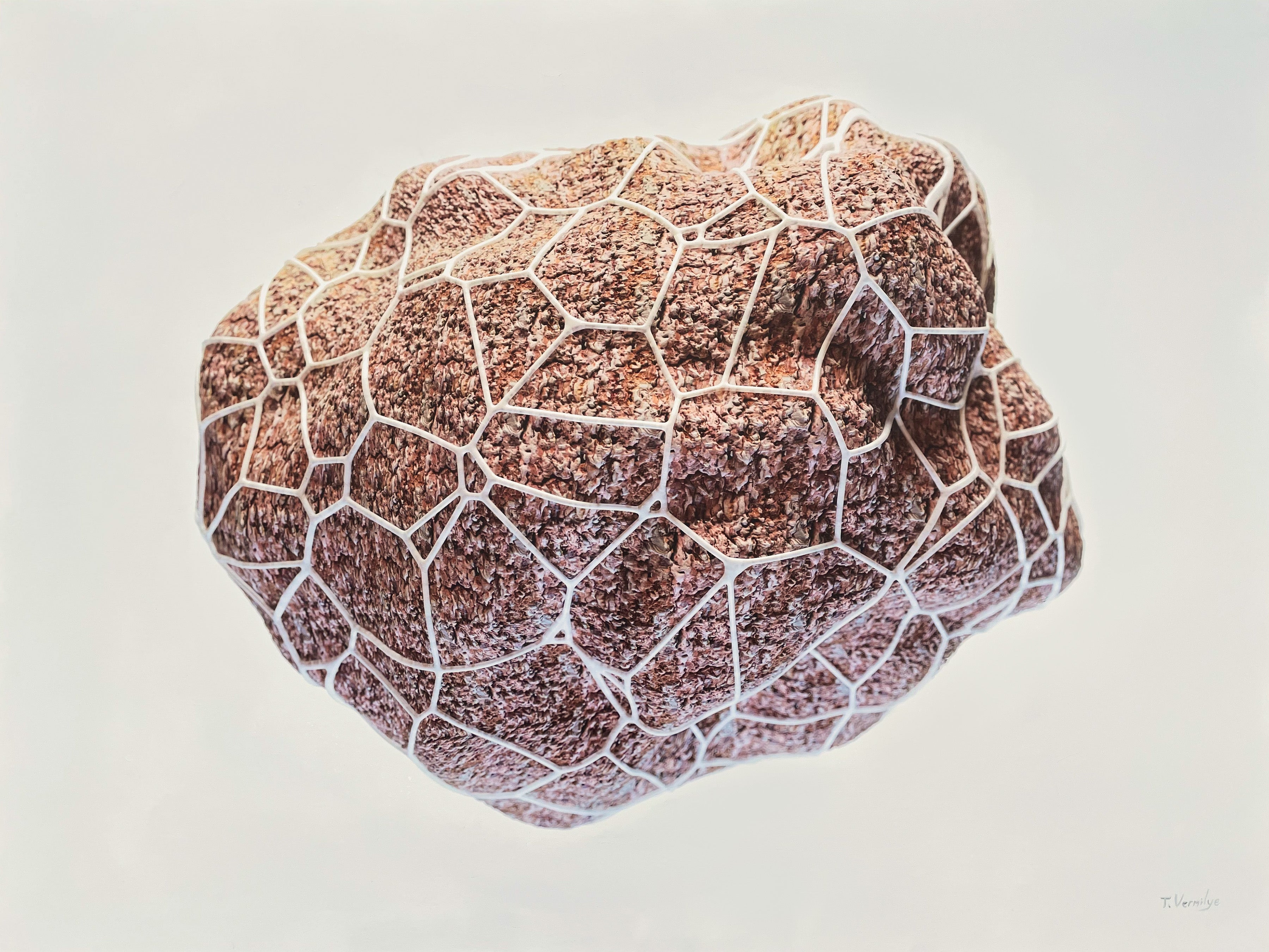 Network 003 [Pine) - 48 x 36 x 2 inches