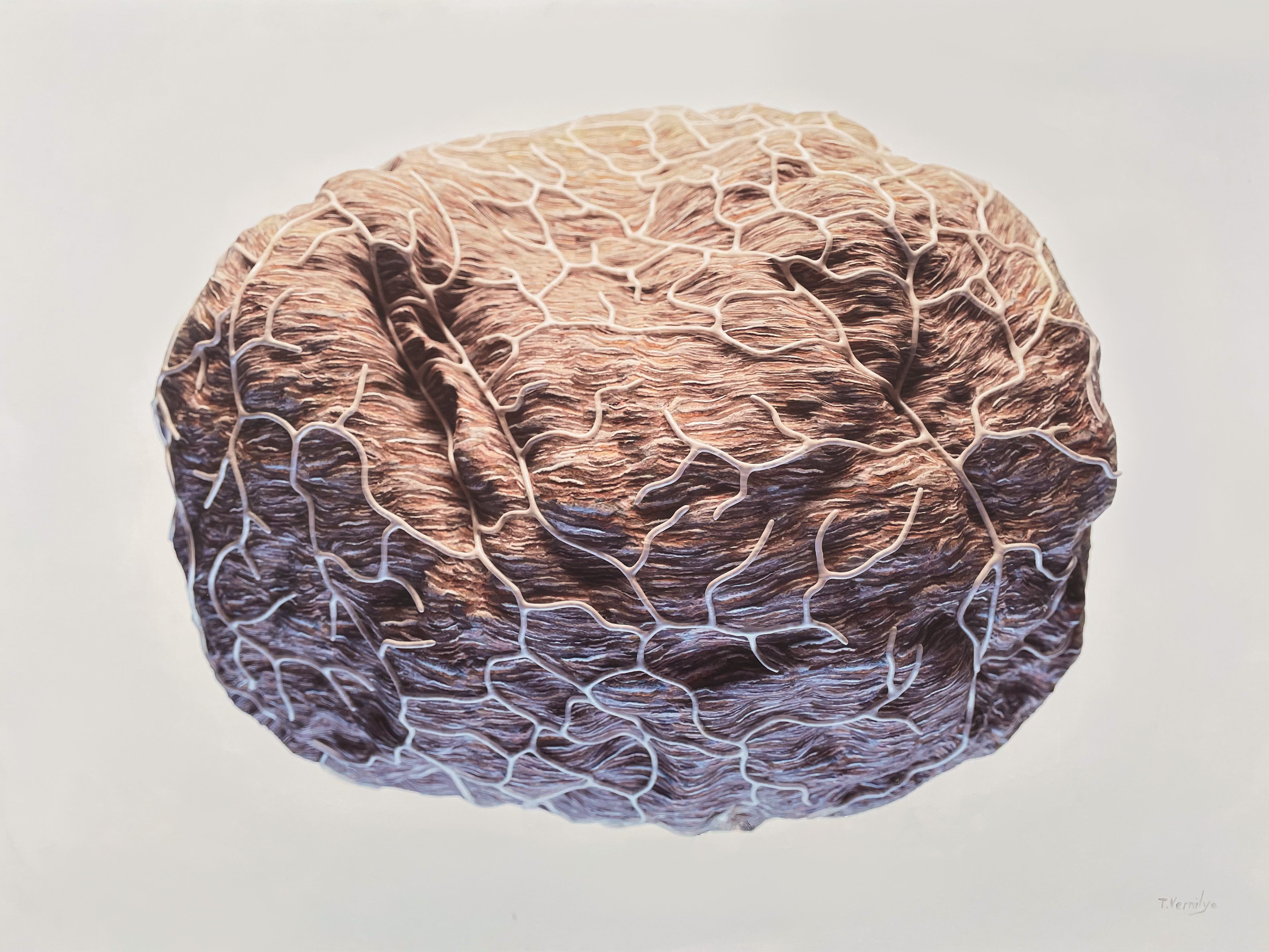 Network 004 [Wasp Paper) - 48 x 36 x 2 inches