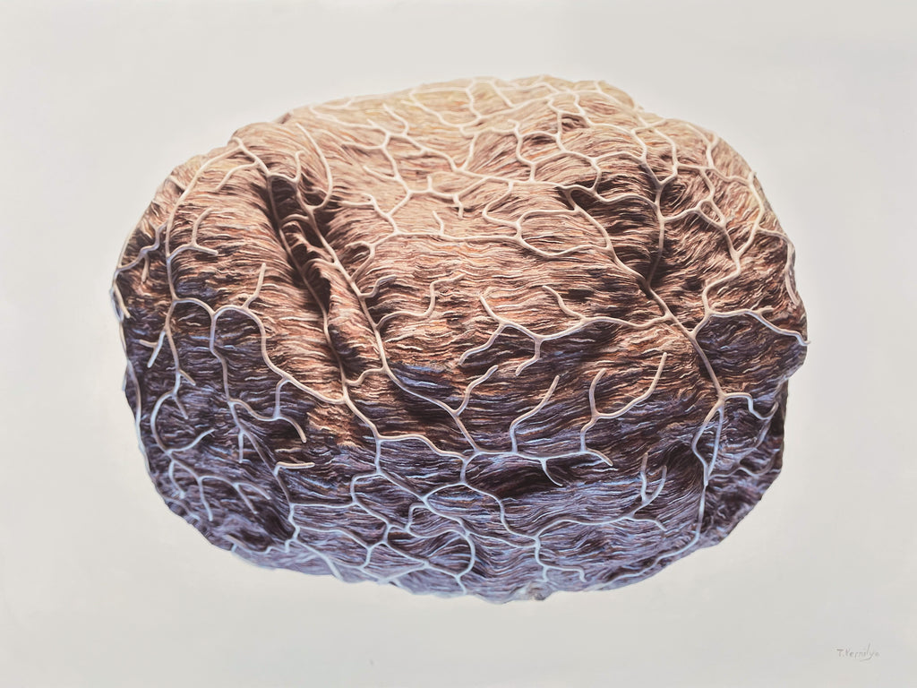 Network 004 [Wasp Paper) - 48 x 36 x 2 inches