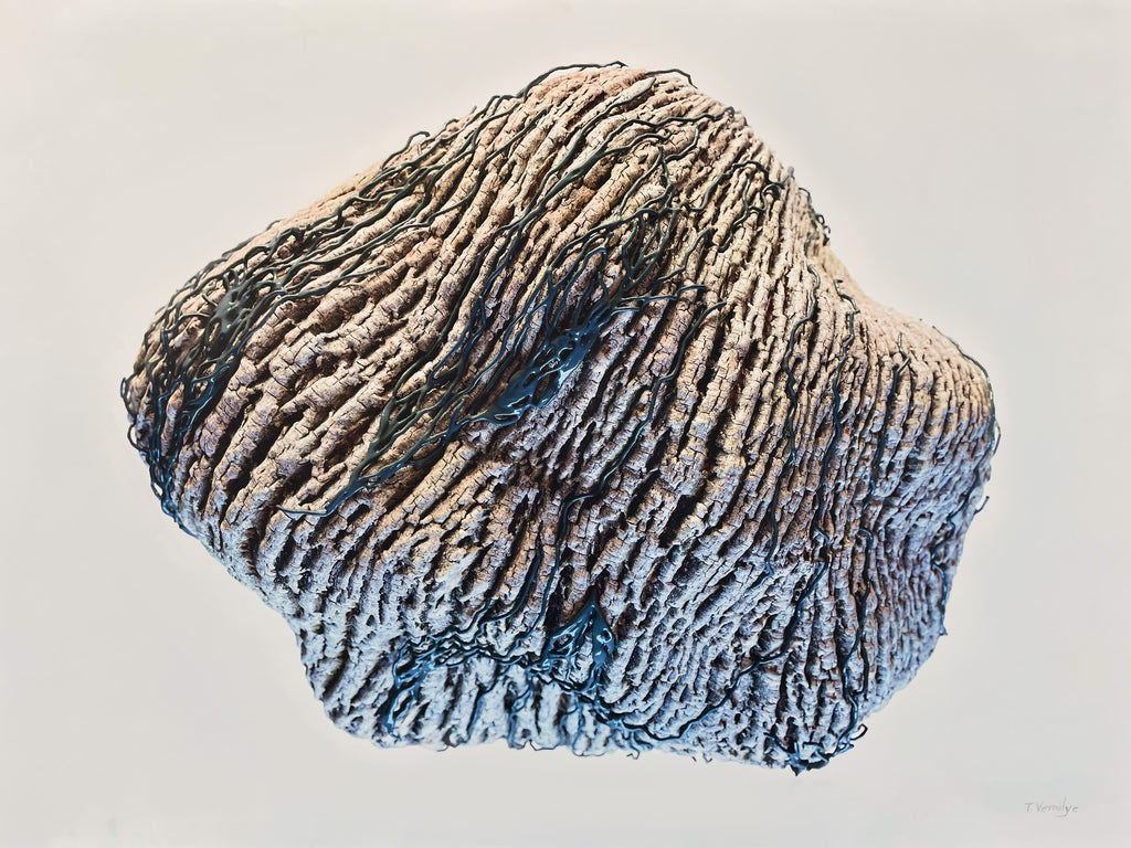 Network 006 [Ash) - 48 x 36 x 2 inches
